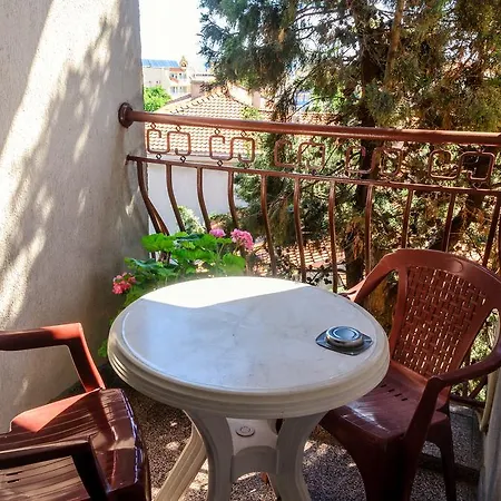Guest house Dom Mladenovi 3*