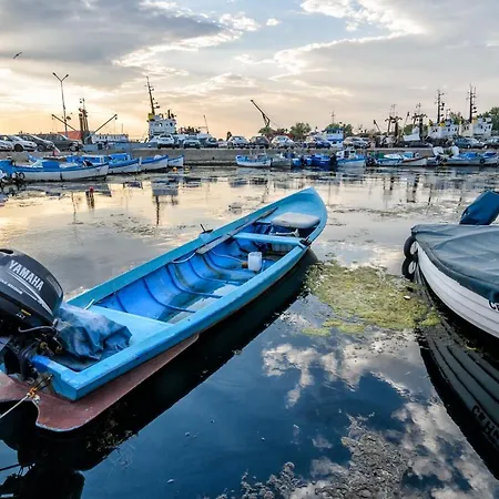 Guest house Dom Mladenovi 4*