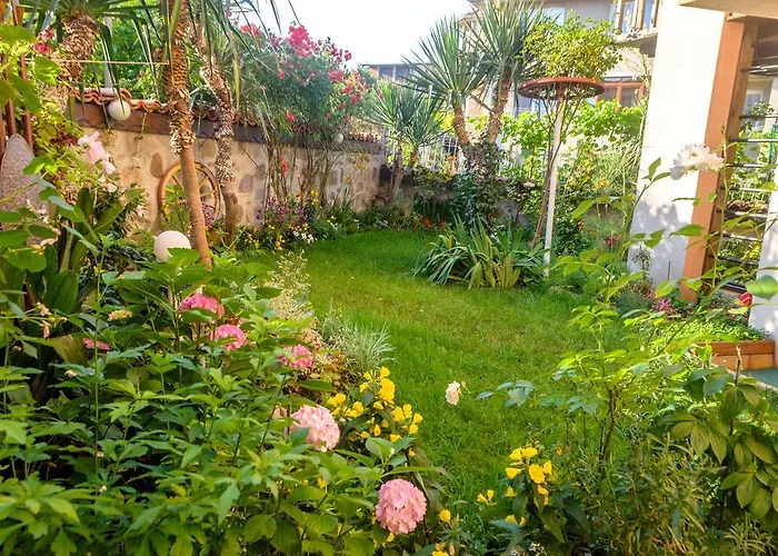 Gasthuis Dom Mladenovi