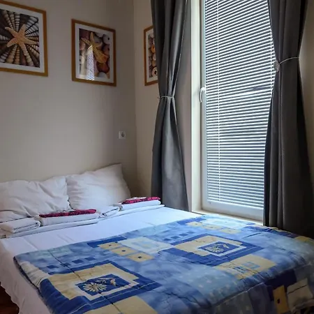 Guest house Dom Mladenovi 3*