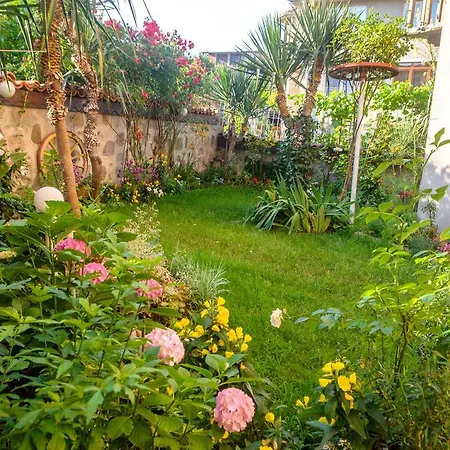 Pensiune Dom Mladenovi