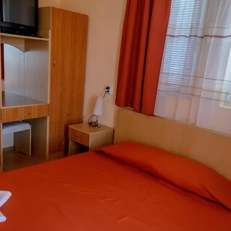 Dom Mladenovi Pensiune