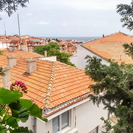 Dom Mladenovi Pensiune 3*