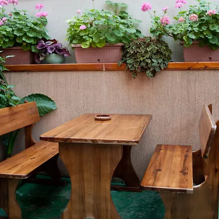 Dom Mladenovi Pensiune 3*