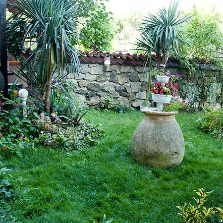 Dom Mladenovi 3* Sozopol