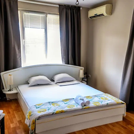 Pensiune Dom Mladenovi 3*