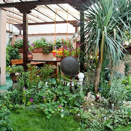 Pensiune Dom Mladenovi 3*