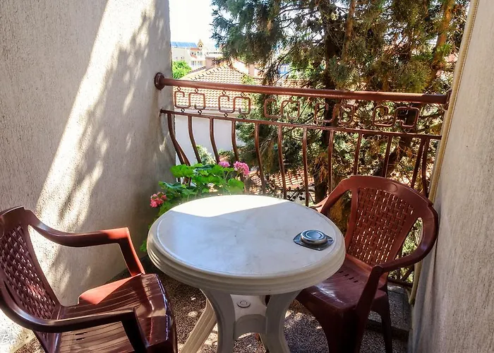 Guest house Dom Mladenovi 3*