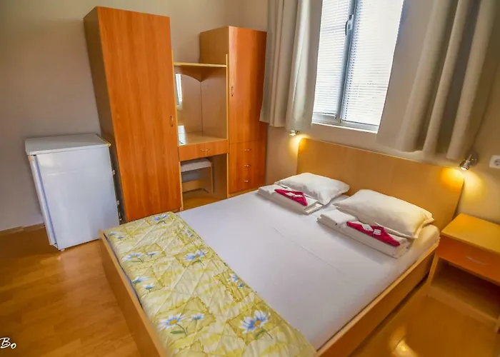 Guest house Dom Mladenovi 3*